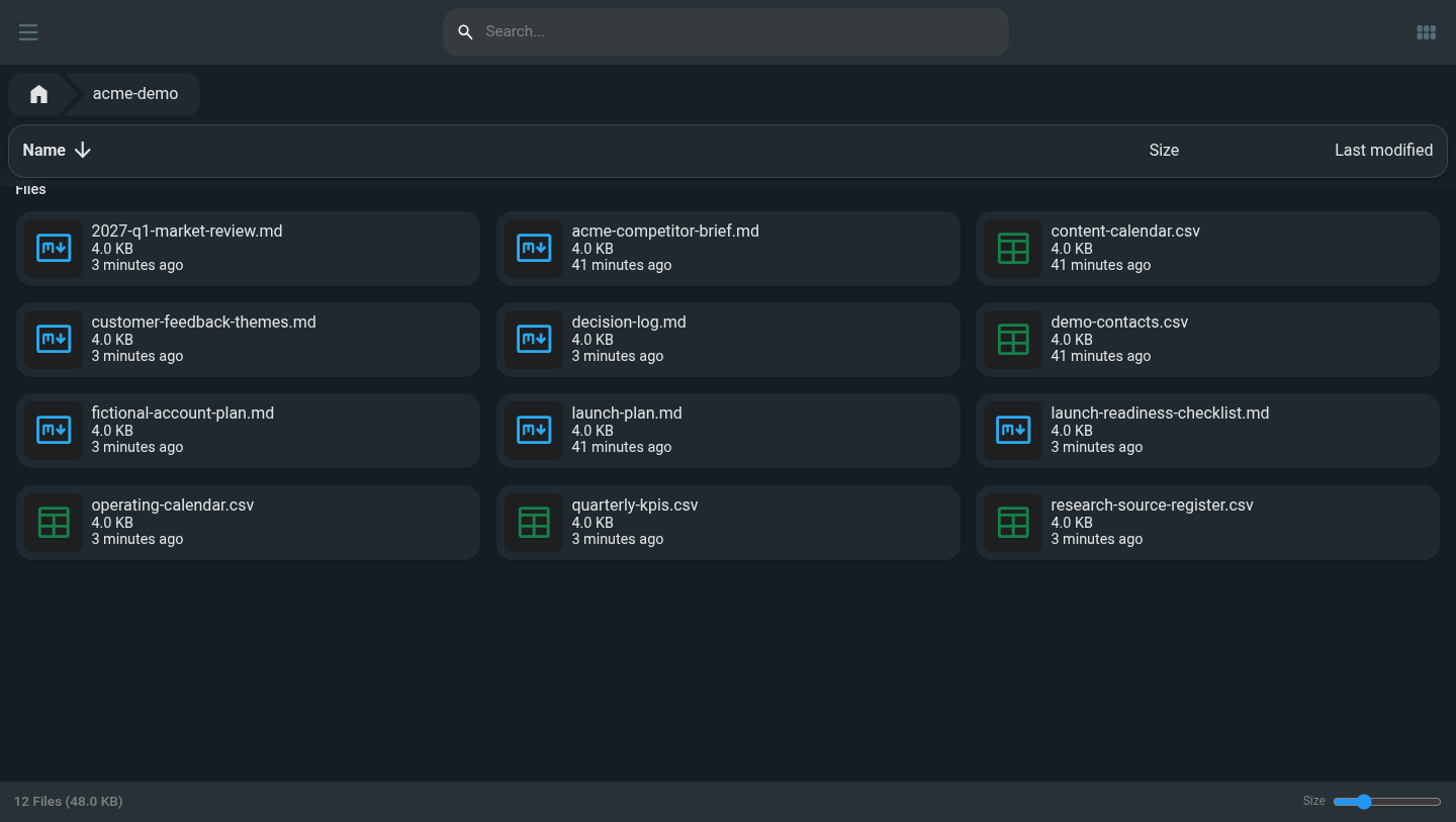 Twelve synthetic long-term Workspace files in a Cloud Agent Files view