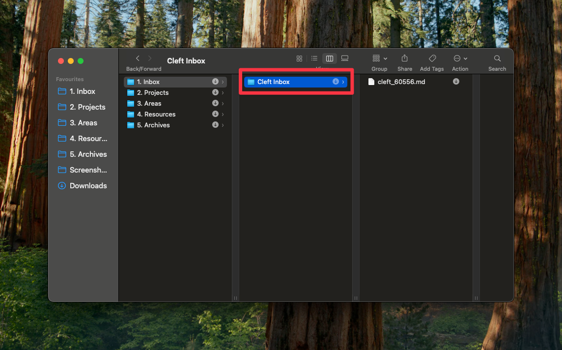 Cleft Notes Folder Example