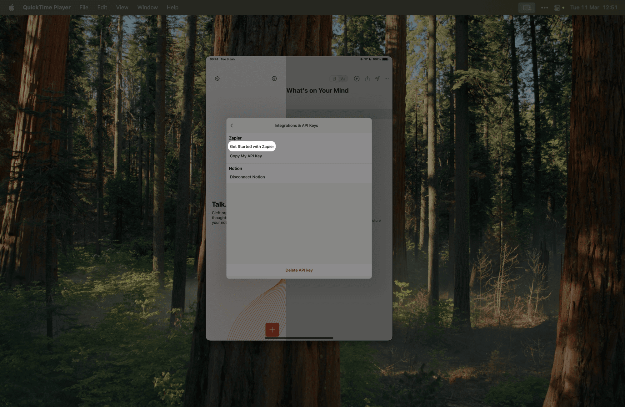 Cleft on iPad - Full Interface