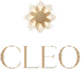 light logo