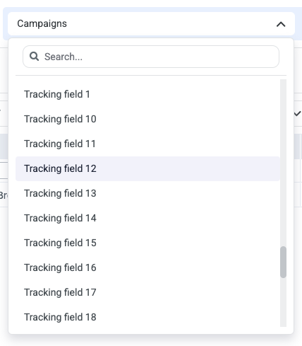 This grouping will appear based on what the macro is mapped to in ClickFlare’s reporting, labeled as Tracking Field 1…
