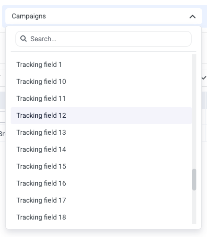 This grouping will appear based on what the macro is mapped to in ClickFlare’s reporting, labeled as Tracking Field 1…