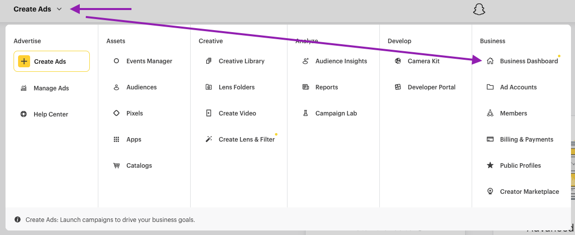 Navigate to the Business Dashboard