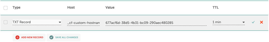 Domain Verification: from the type dropdown menu, select TXT and in the host and value field insert the name…