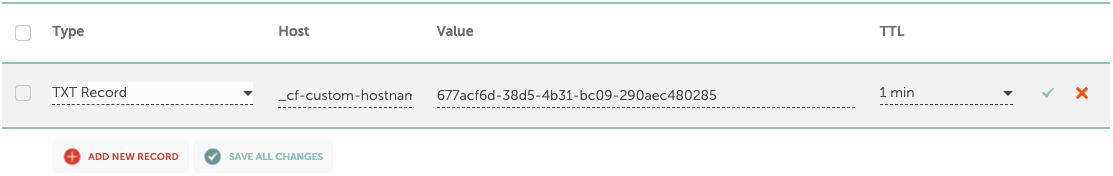 Domain Verification: from the type dropdown menu, select TXT and in the host and value field insert the name…