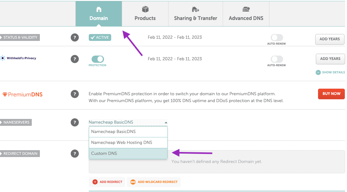 On the Domain tab, click on the drop-down menu next to the Nameservers section and select Custom DNS from the list