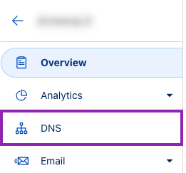Click on DNS on the left sidebar