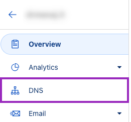 Click on DNS on the left sidebar
