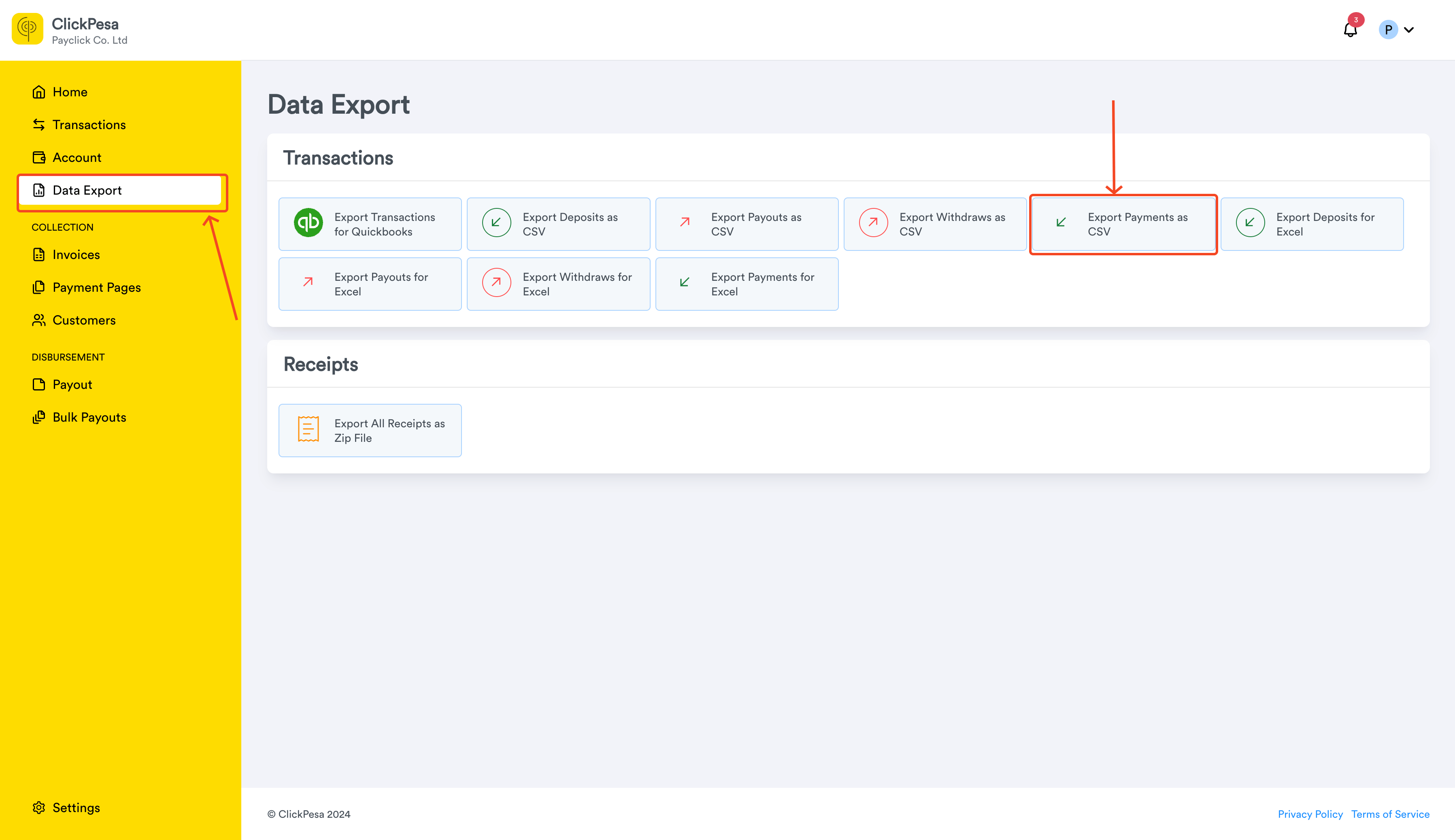 Payments Csv