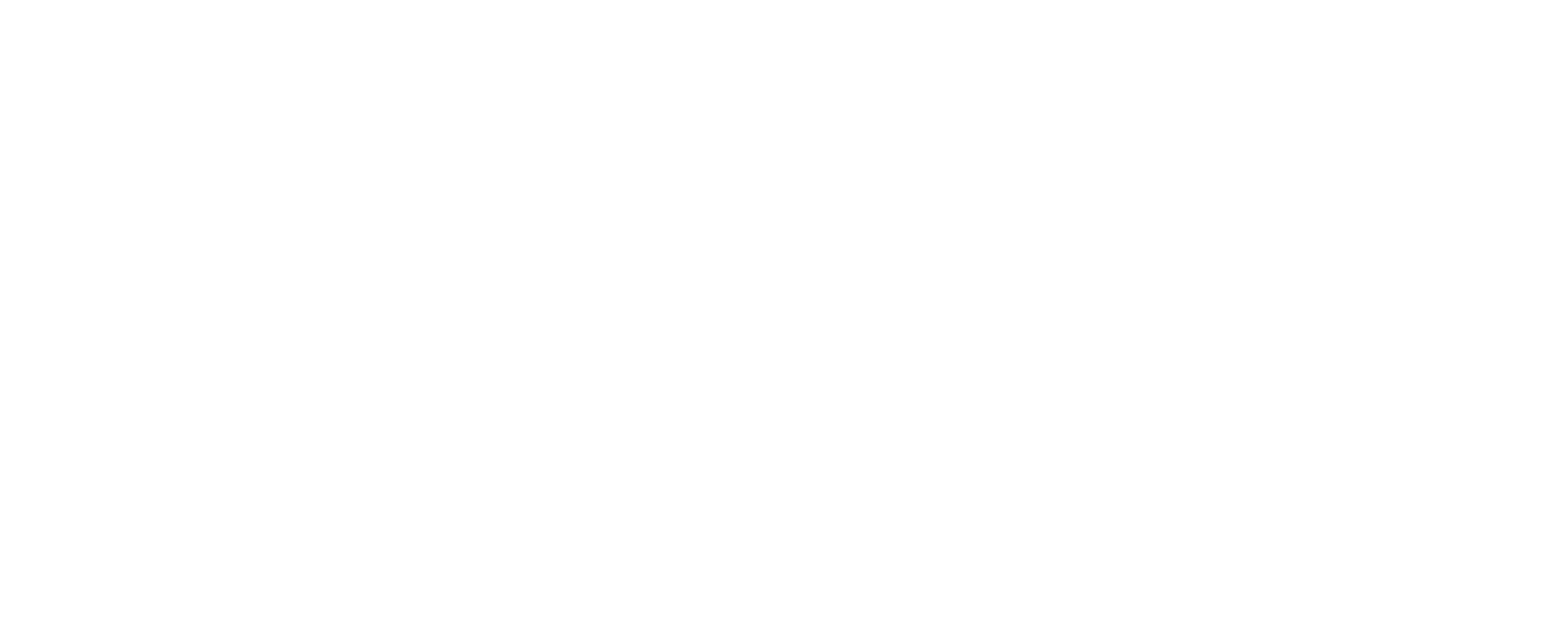 dark logo