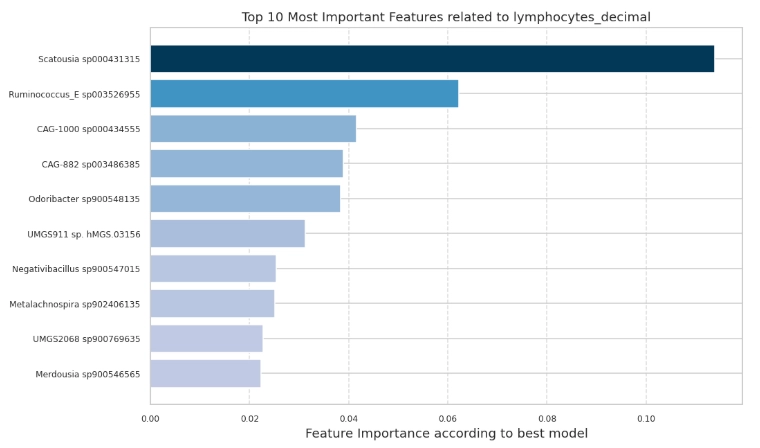 Feature Importance ML