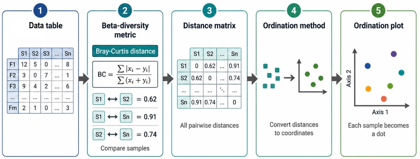 Betadiversity Flow 1