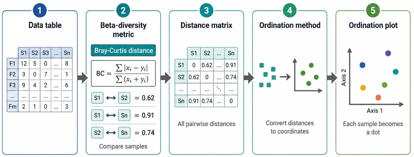 Betadiversity Flow 1