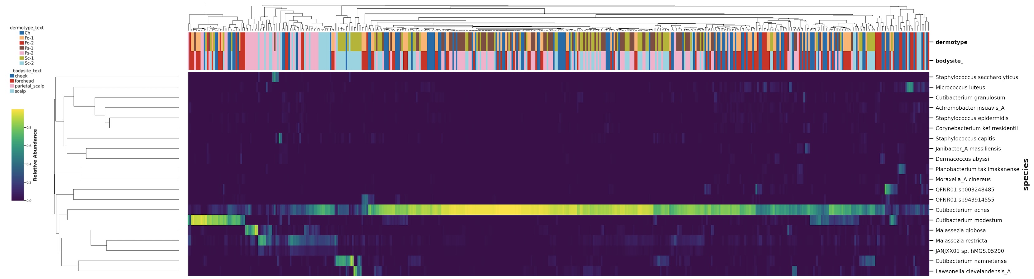 Heatmap Docs