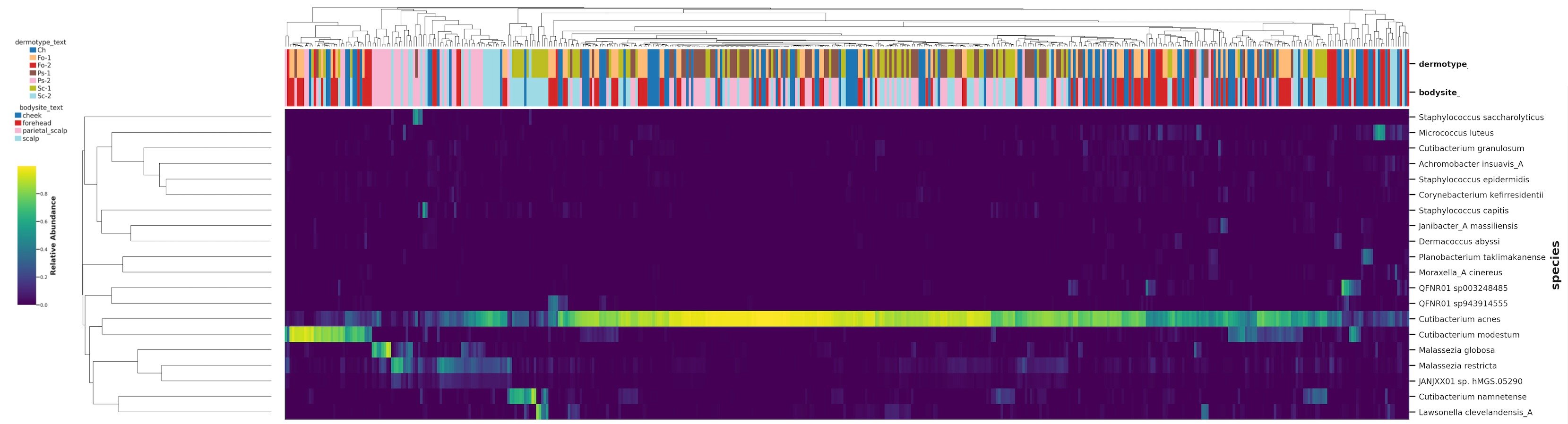Heatmap Docs
