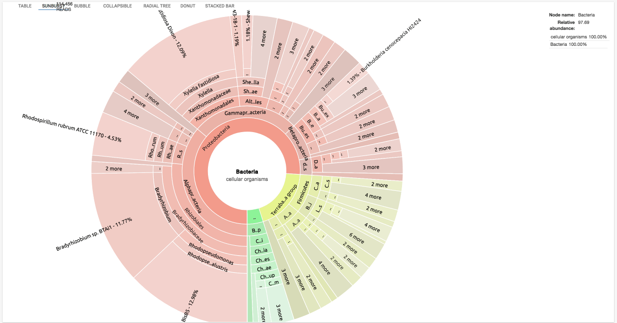 Screen Recording 2019-02-22 at 10.44 AM.gif