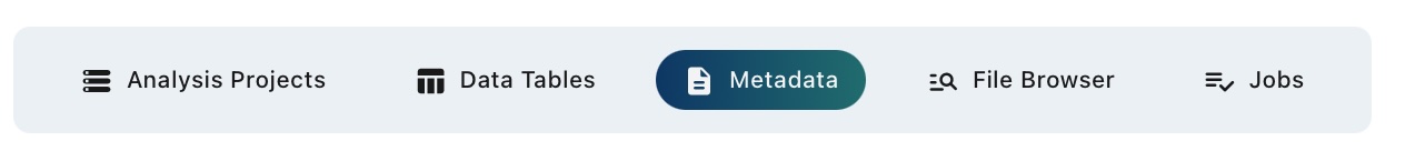 Metadata