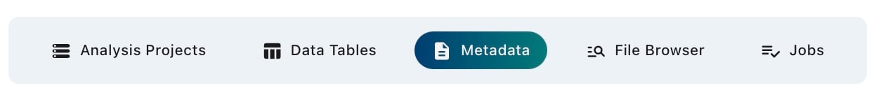 Metadata