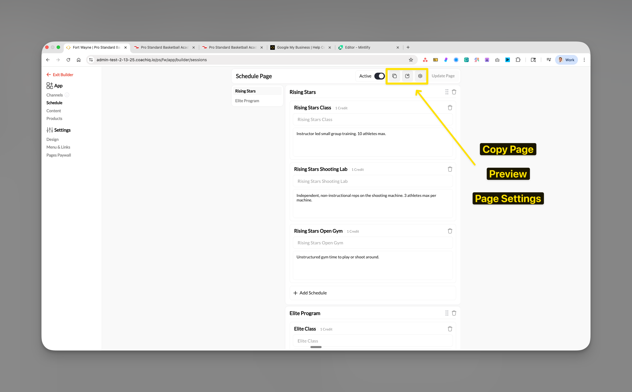 Page settings buttons including Copy, Preview, and Settings
