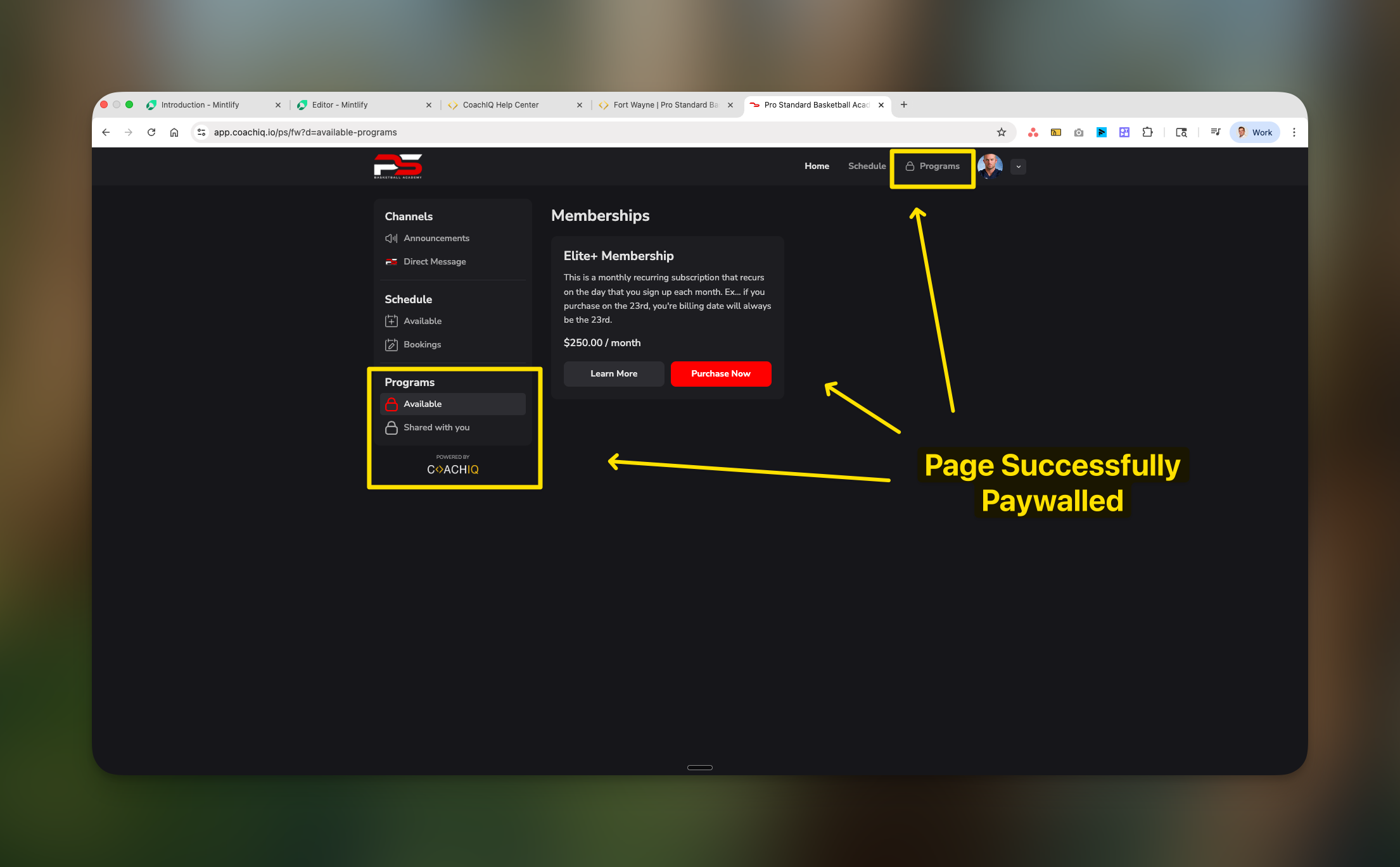 Paywalled Athlete App Pn