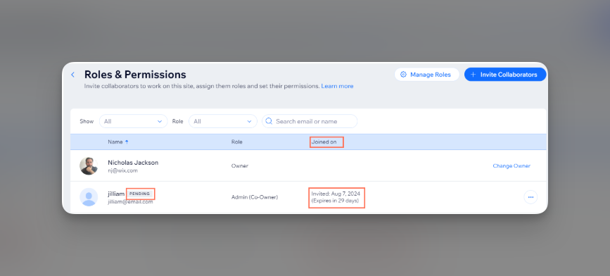 Role&permissionswix Pn