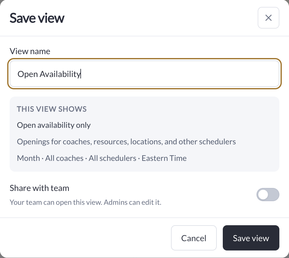 Save view dialog with a name, summary of included filters, and Share with team switch