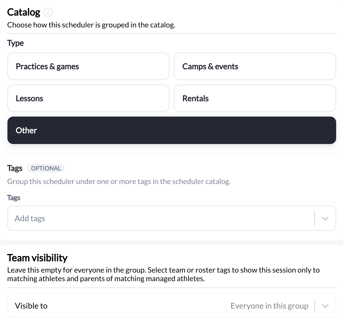 Catalog type, Tags, and Team visibility sections inside the scheduler builder