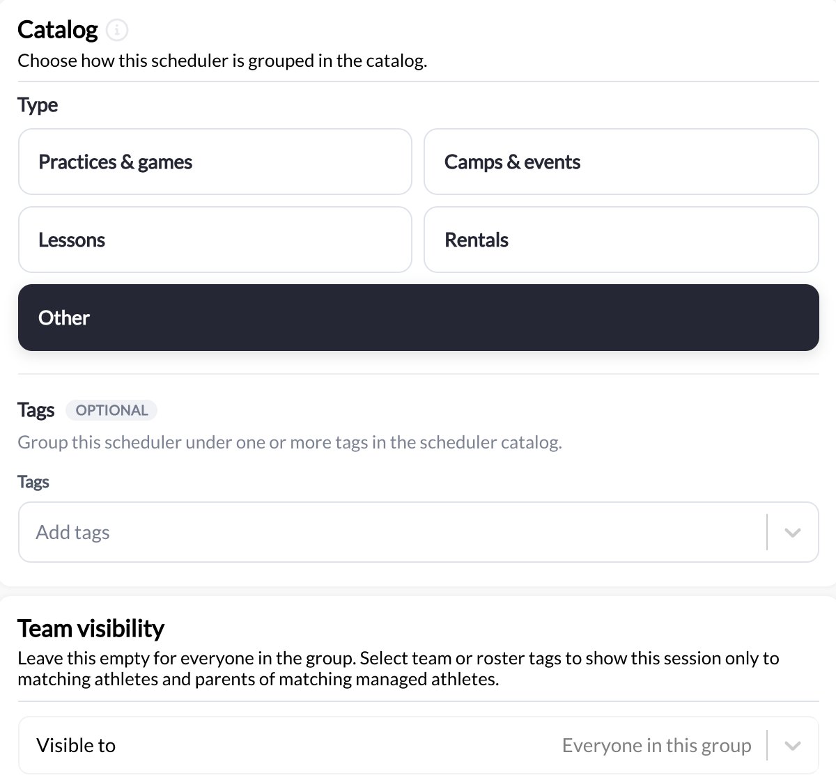 Catalog type, Tags, and Team visibility sections inside the scheduler builder
