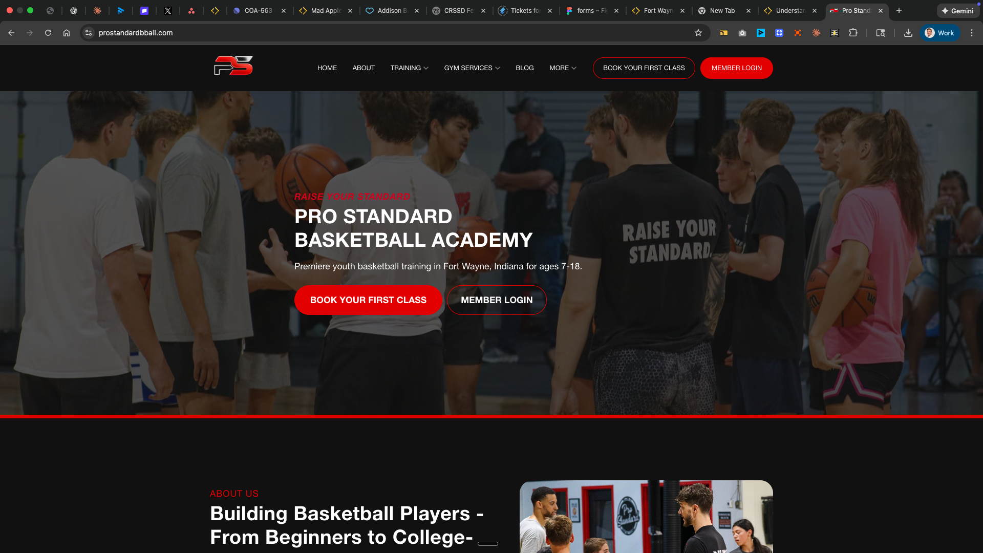 Example CoachIQ website with professional SEO optimization