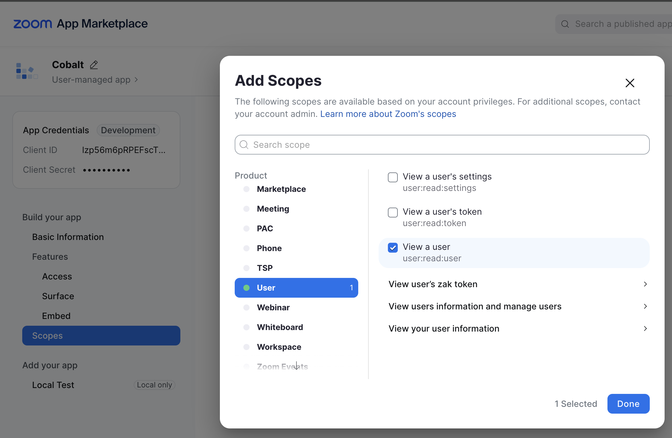 Setting up Zoom Developer app