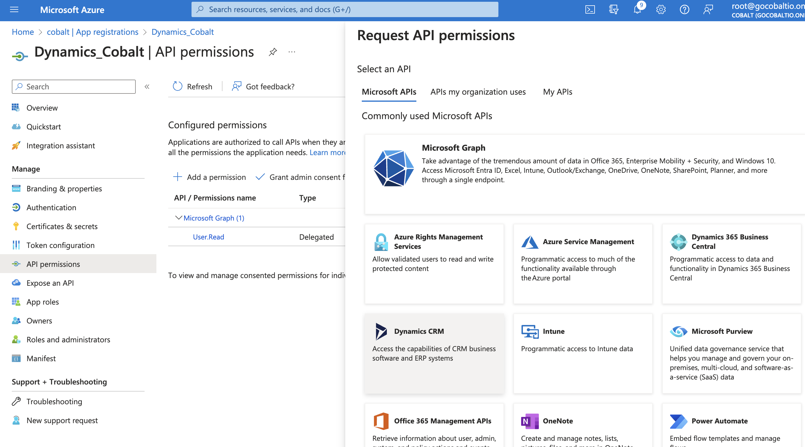 Setting up Microsoft Dynamics CRM Developer app