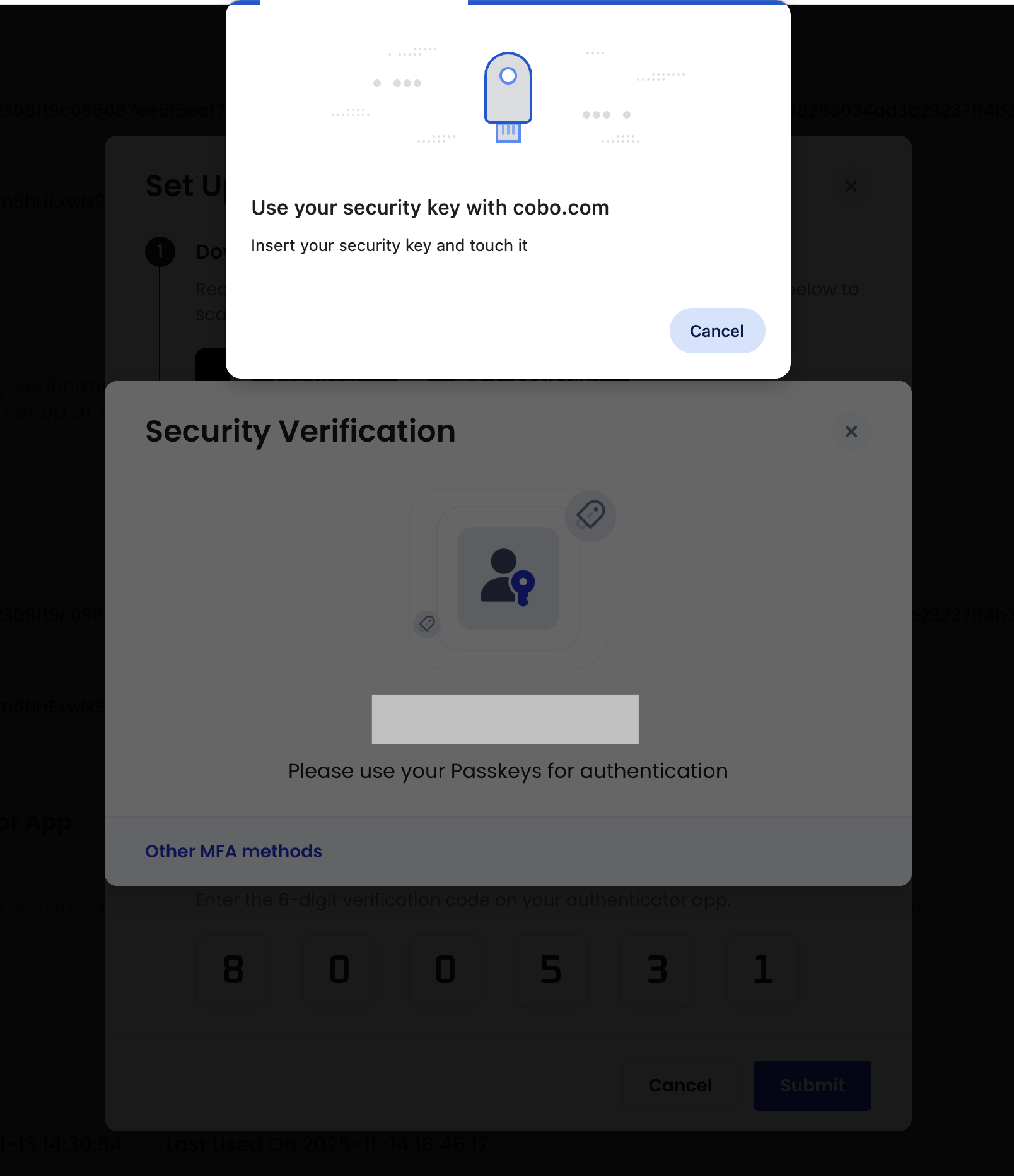 passkeys 请求的屏幕截图