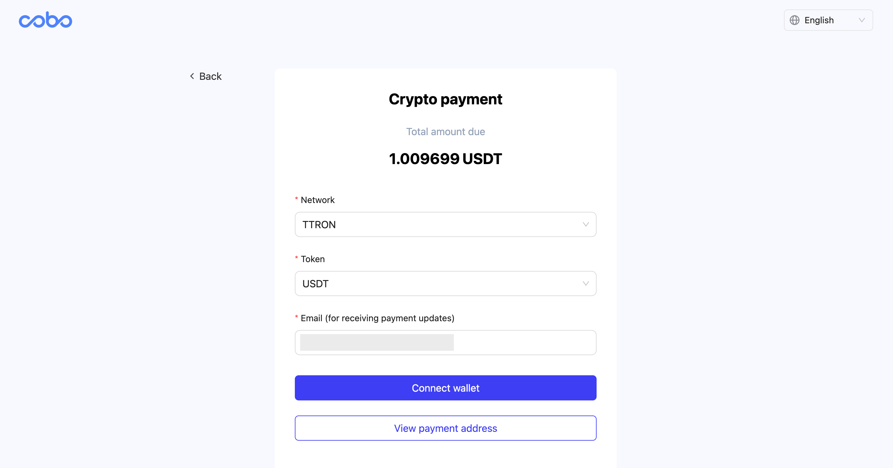 The payment page