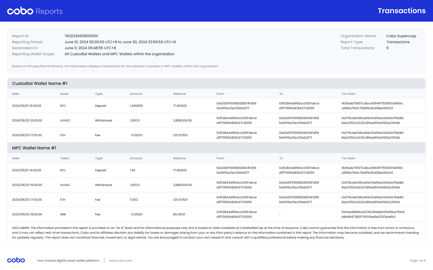 Sample transaction report
