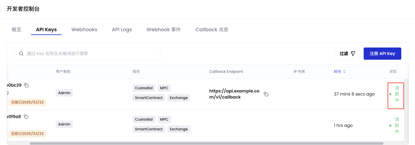 API Key 活跃状态