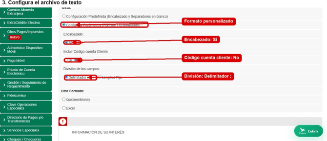Formato de exportacion Texto en BanescoOnline