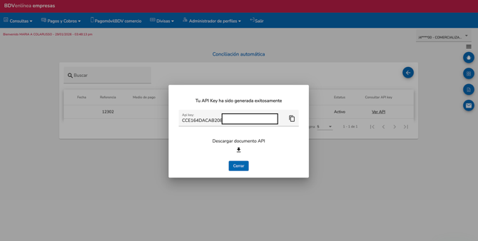 Ventana de API Key generada en BDV
