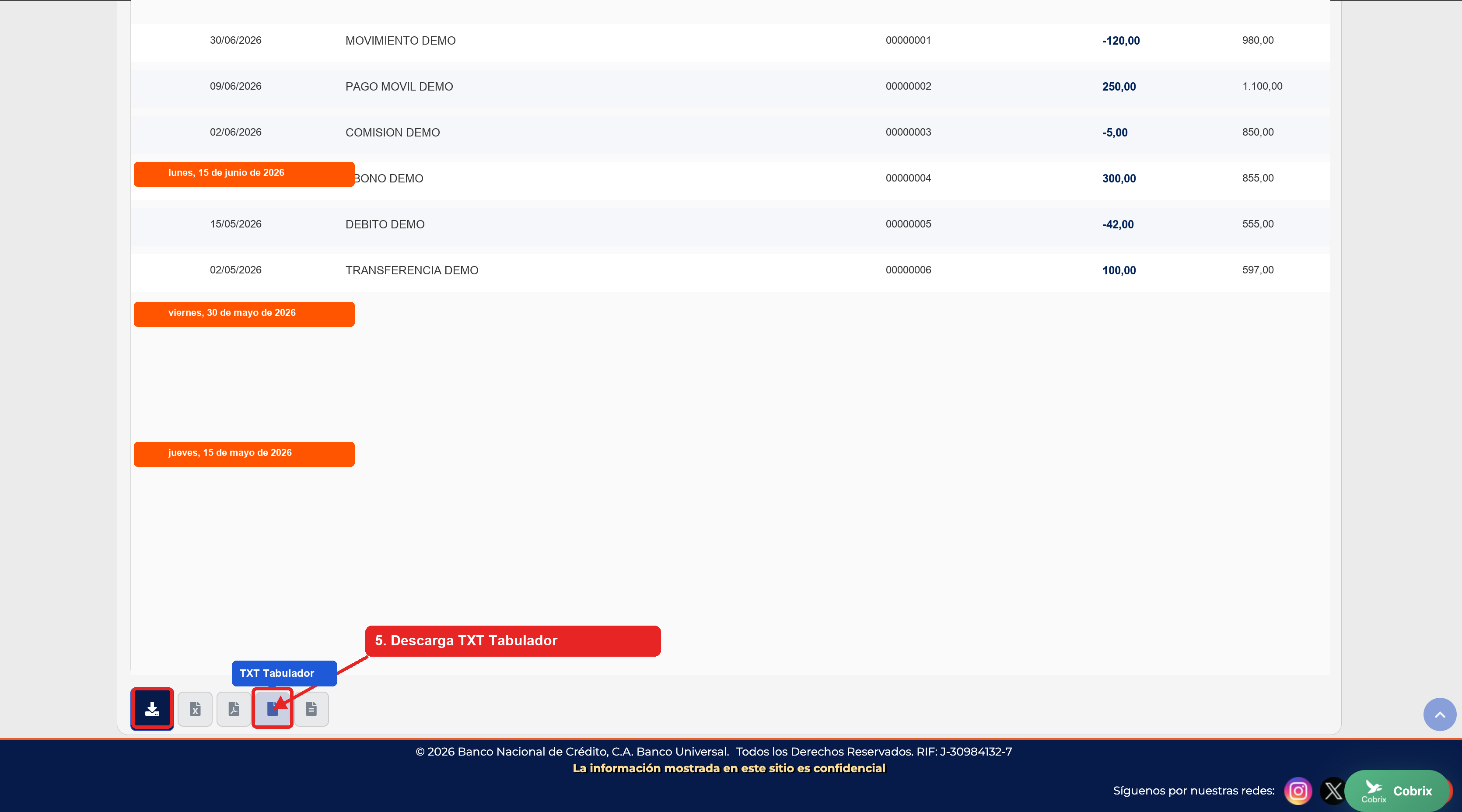 Descarga TXT Tabulador en BNCNET
