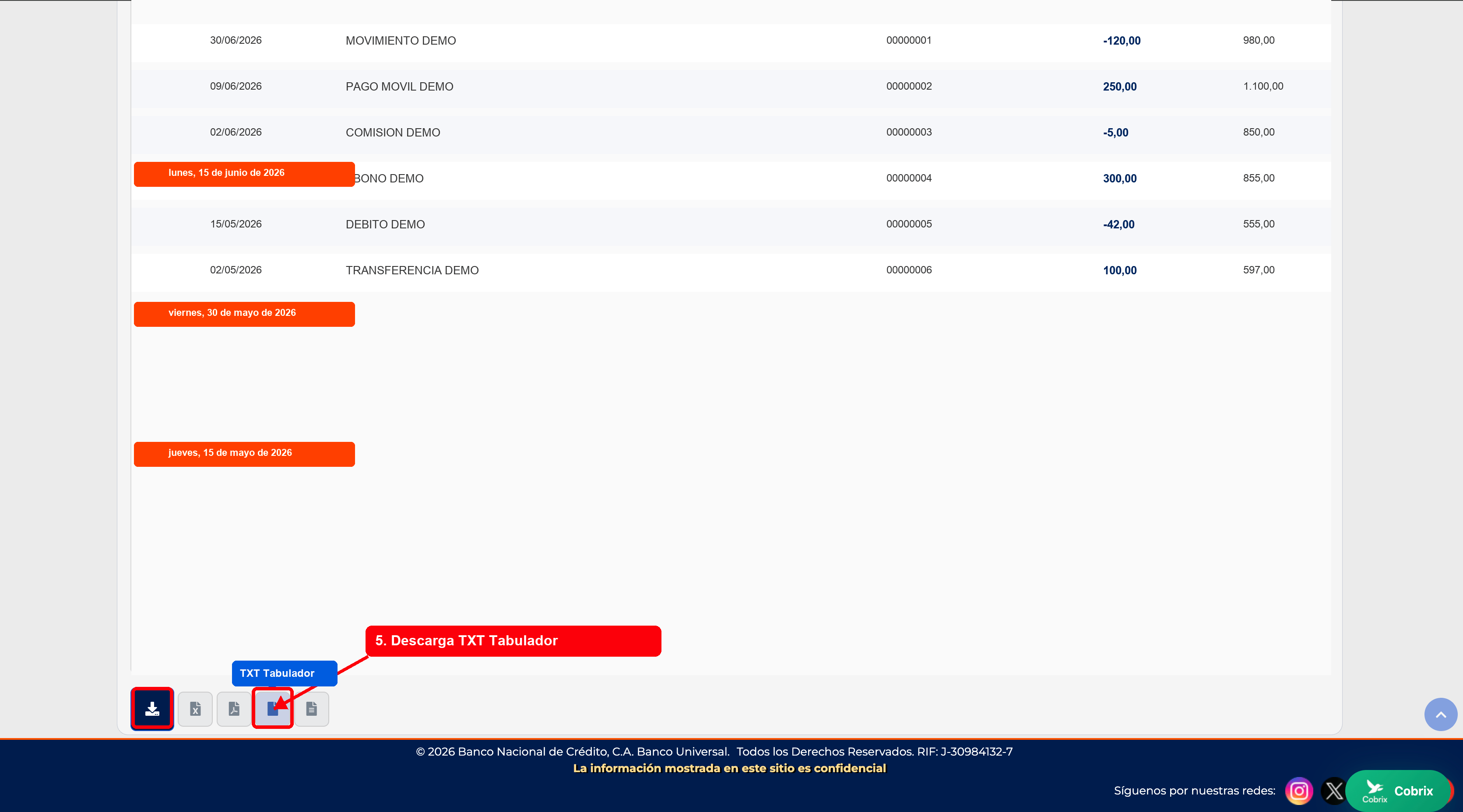 Descarga TXT Tabulador en BNCNET
