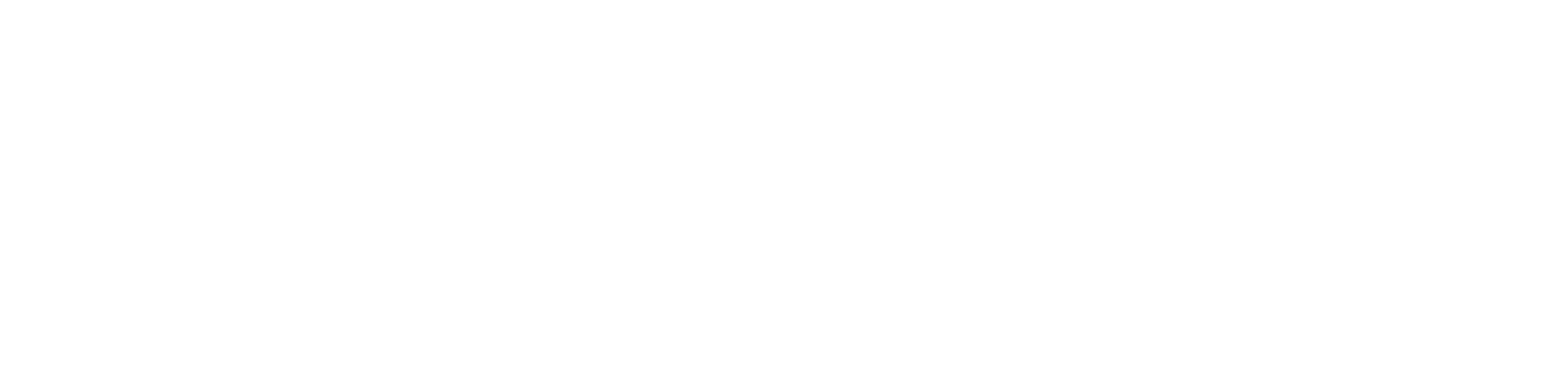 dark logo