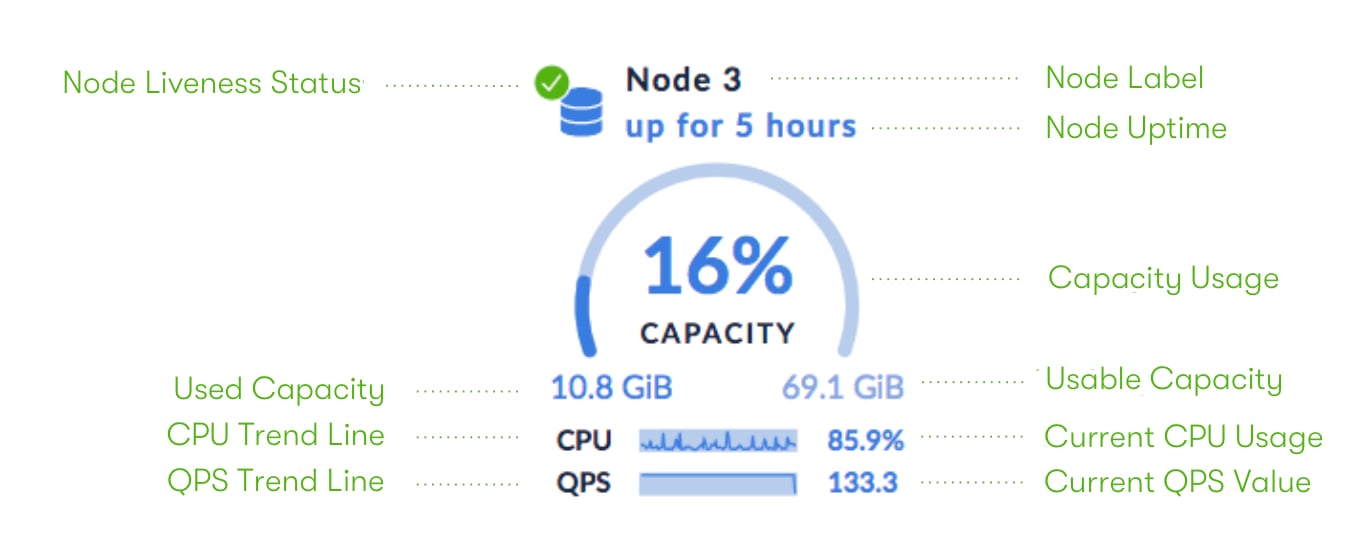 DB Console Summary Panel