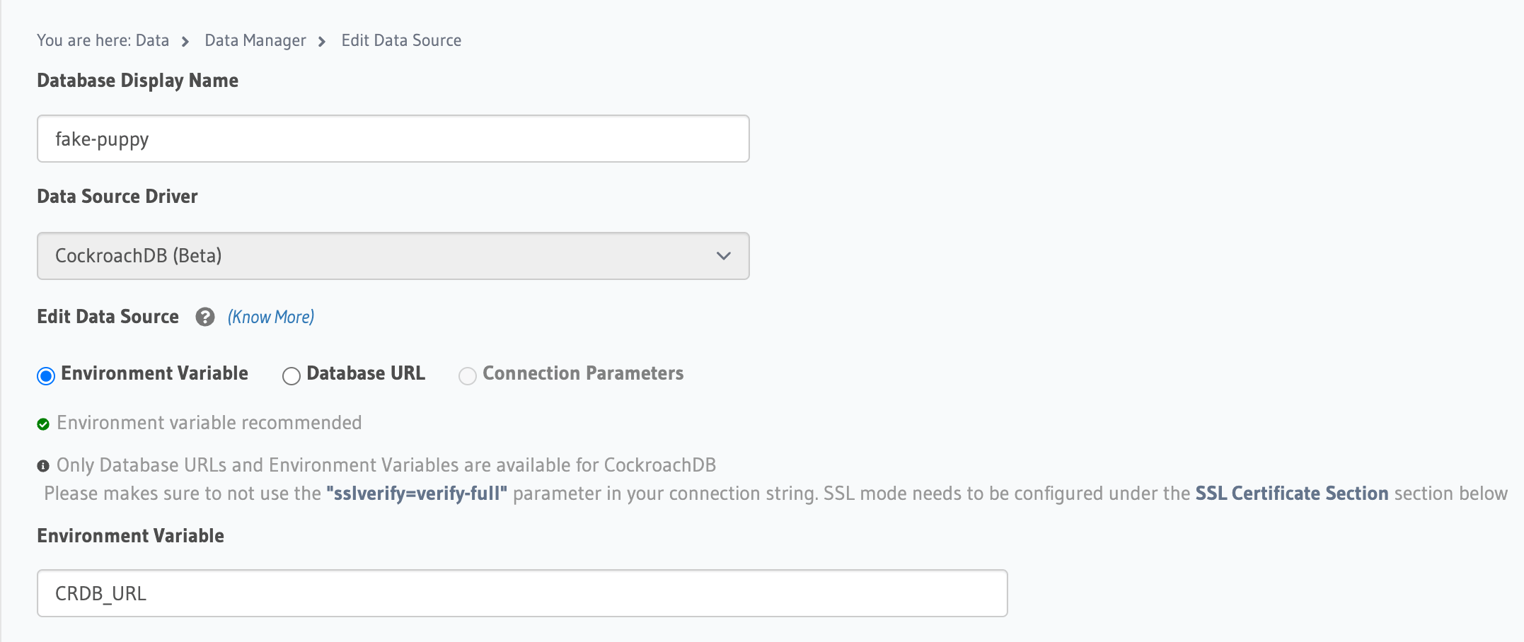 Adding the connection string to the Hasura Data Manager