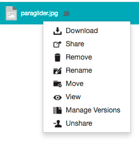 Right-clicking a shared file as an owner - context menu