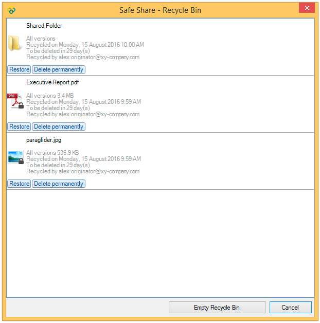 Recycle Bin dialog box