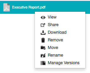 Right-clicking a file as an owner - context menu