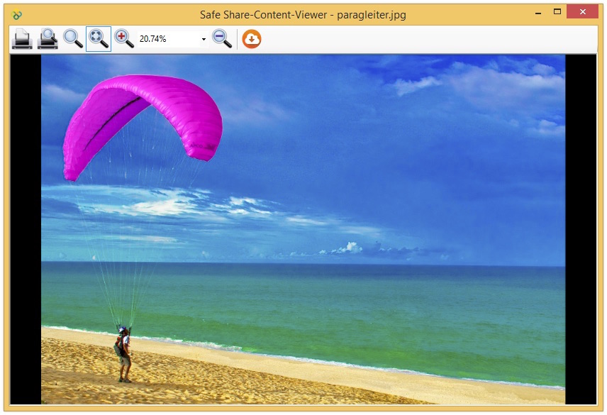 Content-Viewer für Bilddateien in Safe Share for Windows