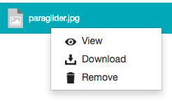 Right-clicking a file as a collaborator with restrictive permissions - context menu