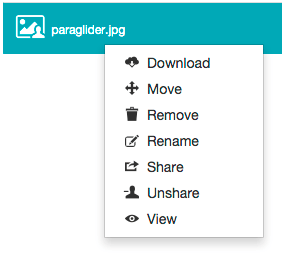 Right-clicking a shared file as an owner - context menu