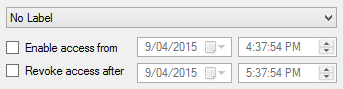 Date/time Controls