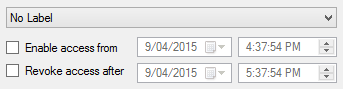 Date/time Controls